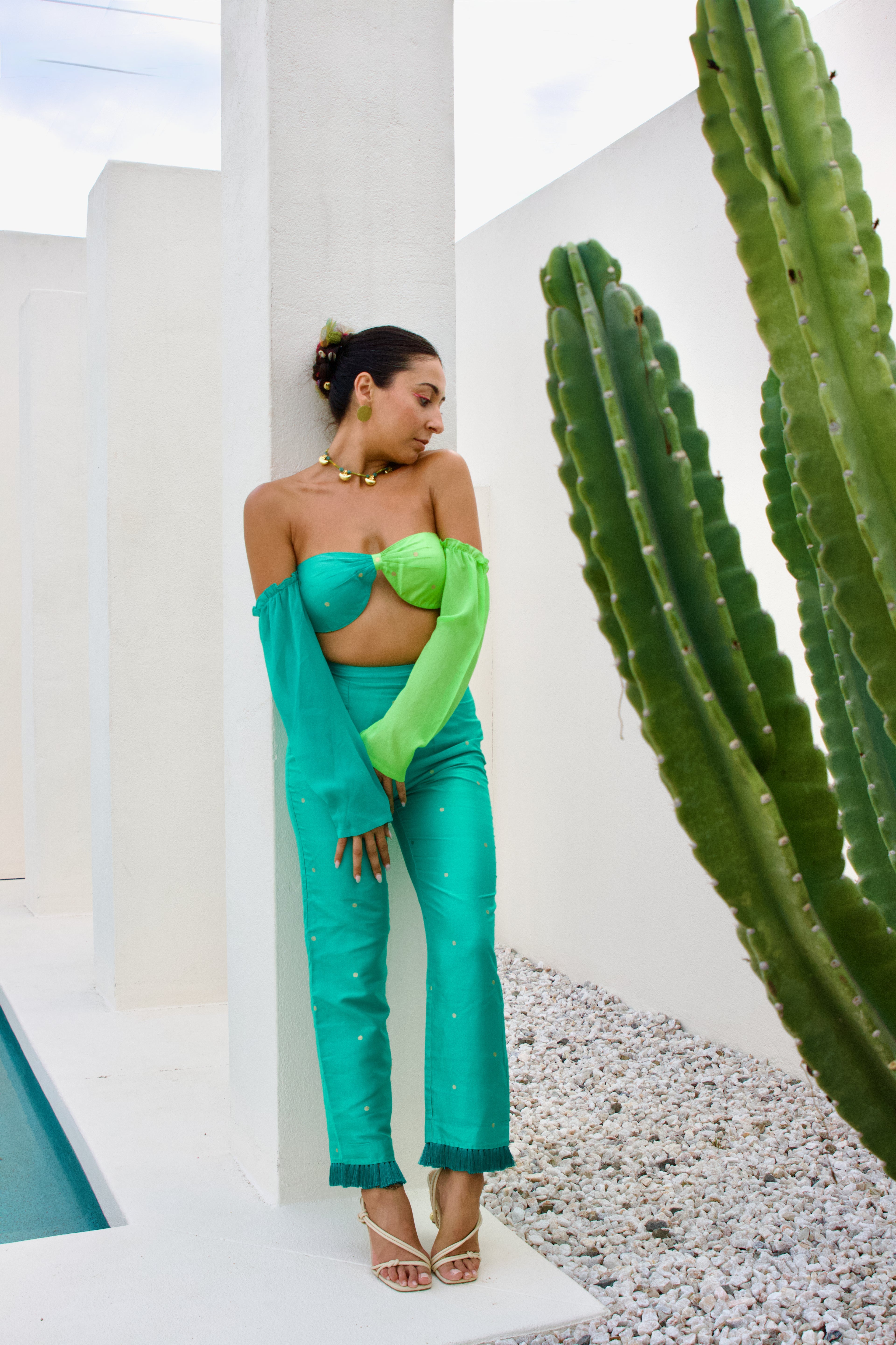 Banarasi Cropped Ankle Pants